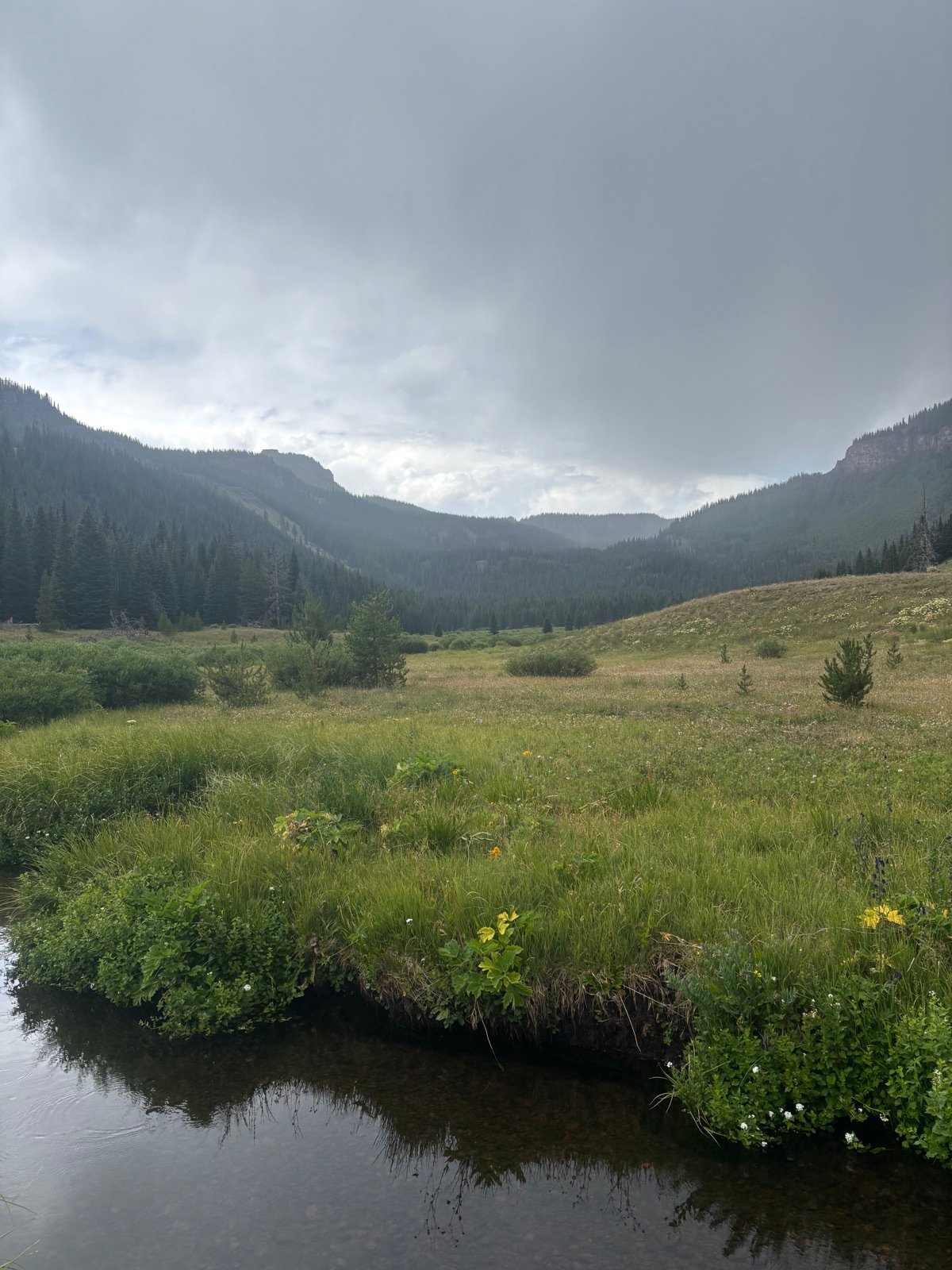 Wide alpine meadow with wildflowers beneath a mountain ridge and storm clouds
