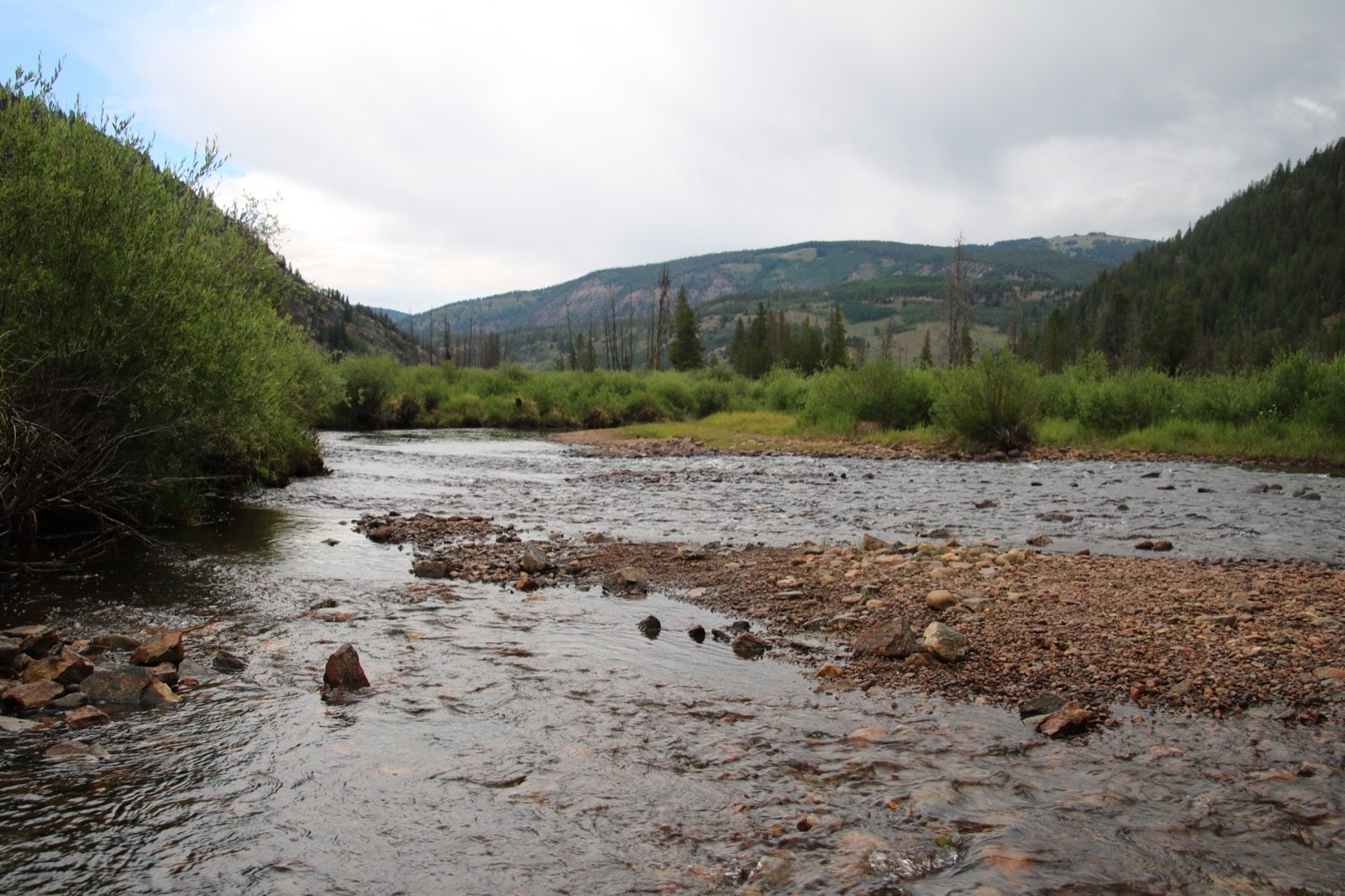 A quiet, empty river running over stones between grassy banks