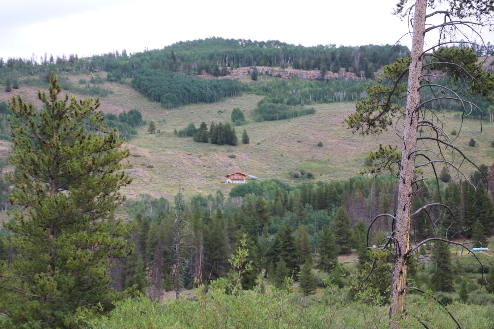 A small remote cabin in a wide mountain valley surrounded by forest